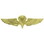 Eagle Emblems P16124 Wing-Usn/Usmc, Para, Basic (Gld-Lrg) (2-3/4")