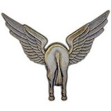 Eagle Emblems P16141 Wing-Horsefly (2-1/4
