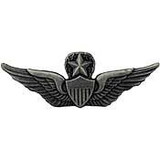 Eagle Emblems P16152 Wing-Army, Aviator, Master (2-5/8