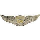 Eagle Emblems P16159 Wing-Usaf, Pilot.Early (3