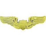 Eagle Emblems P16163 Wing-Usaf, Pilot, Basic (Gold) (3