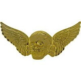 Eagle Emblems P16164 Wing-Death, Skull, Xlg, Gld (3