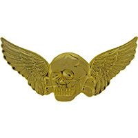 Eagle Emblems P16164 Wing-Death,Skull,Xlg,Gld (3")