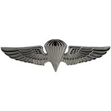Eagle Emblems P16165 Wing-Usn/Usmc, Para, Basic (Slv-Lrg) (2-3/4