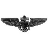 Eagle Emblems P16169 Wing-Usn/Usmc,Aviator,Pwt (2-3/4