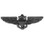 Eagle Emblems P16169 Wing-Usn/Usmc, Aviator, Pwt (Lrg) (2-3/4")