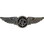 Eagle Emblems P16176 Wing-Usn, Aircrew, Pwt (2-3/4")