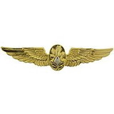 Eagle Emblems P16271 Wing-Usn, Flight Surgeon (Gld) (2-3/4