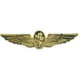 Eagle Emblems P16272 Wing-Usn,Flight Nurse (GLD), (2