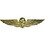 Eagle Emblems P16272 Wing-Usn,Flight Nurse (GLD), (2")