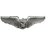 Eagle Emblems P16316 Wing-Usaf, Astronaut, Basic (3