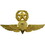 Eagle Emblems P16319 Wing-Usn/Usmc, Para, Master (Gld) (2-3/4")
