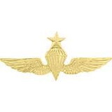 Eagle Emblems P16320 Wing-Usn/Usmc,Para,Senior (GLD), (2-3/4