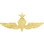 Eagle Emblems P16320 Wing-Usn/Usmc, Para, Senior (Gld) (2-3/4")
