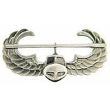Eagle Emblems P16327 Wing-Army,Air Assault,Pwt (1-9/16