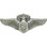 Eagle Emblems P16344 Wing-Usaf,Flt.Nurse,Mast. (2-3/4")