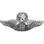 Eagle Emblems P16346 Wing-Usaf,Aircrew,Master (2-3/4")