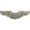 Eagle Emblems P16501 Wing-Usaf, Pilot, Basic (2")