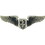 Eagle Emblems P16503 Wing-Usaf, Flt.Nurse, Basic (2")