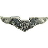 Eagle Emblems P16504 Wing-Usaf, Aircrew.Off, Bas (2