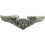 Eagle Emblems P16504 Wing-Usaf, Aircrew.Off, Bas (2")