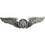 Eagle Emblems P16506 Wing-Usaf, Aircrew, Basic (2")