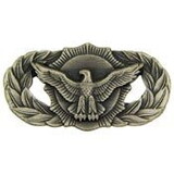 Eagle Emblems P16512 Wing-Usaf,Sec.Police,Bas. PWT, (1-5/8