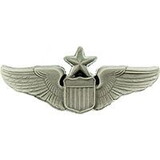Eagle Emblems P16521 Wing-Usaf, Pilot, Senior (2