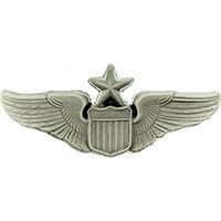 Eagle Emblems P16521 Wing-Usaf,Pilot,Senior (2")