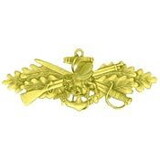 Eagle Emblems P16525 Pin-Usn, Seabee, Combat Wfr (Gld) (1-1/2