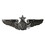 Eagle Emblems P16526 Wing-Usaf, Aircrew, Senior (2")