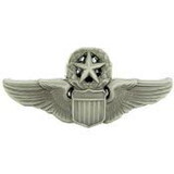 Eagle Emblems P16541 Wing-Usaf,Pilot,Master (2