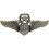 Eagle Emblems P16542 Wing-Usaf,Obs/Nav,Master (2")