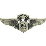 Eagle Emblems P16543 Wing-Usaf, Flt.Nurse, Mast. (2