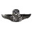 Eagle Emblems P16546 Wing-Usaf, Aircrew, Master (2")