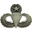 Eagle Emblems P16547 Wing-Army, Para, Master (Pewter)    Full Size (1-1/2")