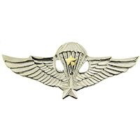 Eagle Emblems P16564 Wing-Viet,Para/Jump,Sr. (2-1/2")