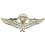 Eagle Emblems P16564 Wing-Viet, Para/Jump, Sr. (2-1/2")