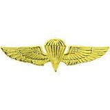 Eagle Emblems P16567 Wing-Usn/Usmc, Para, Basic (Gld-Stnd) (1-1/2