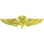 Eagle Emblems P16567 Wing-Usn/Usmc, Para, Basic (Gld-Stnd) (1-1/2")