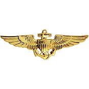 Eagle Emblems P16569 Wing-Usn/Usmc, Aviator (Med) (1-1/2")