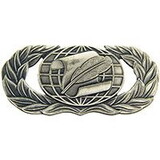 Eagle Emblems P16574 Wing-Usaf, Inf.Mngr, Basic Pwt (1-5/8