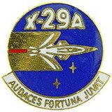 Eagle Emblems P18055 Pin-Apl, X-29 Logo (Logo) (1