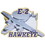 Eagle Emblems P18075 Pin-Apl,E-2 Hawkeye (1-3/8")