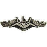 Eagle Emblems P40005 Wing-Bush, Naval (2-3/4