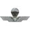 Eagle Emblems P40009 Wing-Italian,Jump (3")
