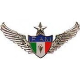 Eagle Emblems P40013 Wing-Mexico, Jump, Senior (2-3/4