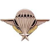 Eagle Emblems P40018 Wing-French, Jump (2-7/8