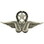 Eagle Emblems P40025 Wing-Bush,Vietnam (2-7/8")