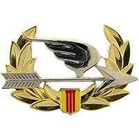 Eagle Emblems P40027 Pin-Viet,Ranger Beret De (2-1/4")